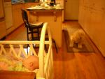 DSCN4307.jpg