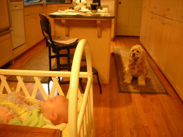 DSCN4308.jpg