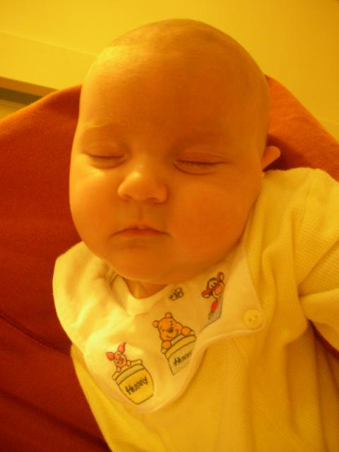 DSCN4312.jpg