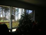 DSCN4083.jpg