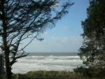 DSCN4085.jpg
