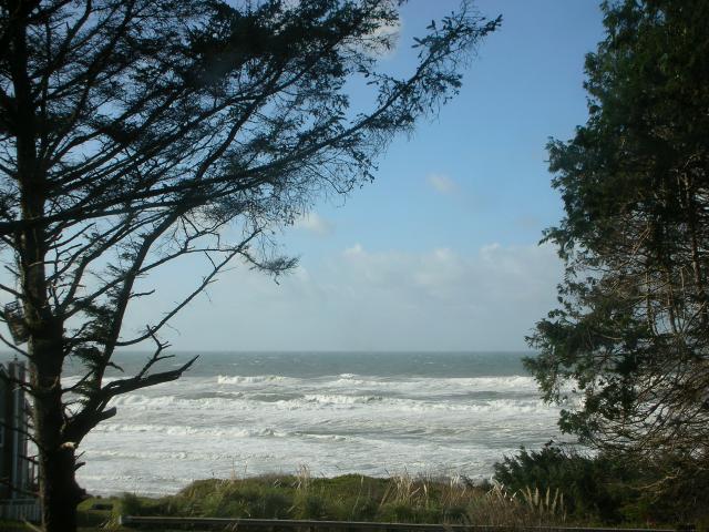 DSCN4085.jpg