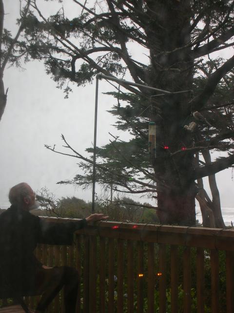 DSCN4129.jpg