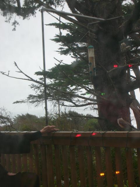DSCN4136.jpg