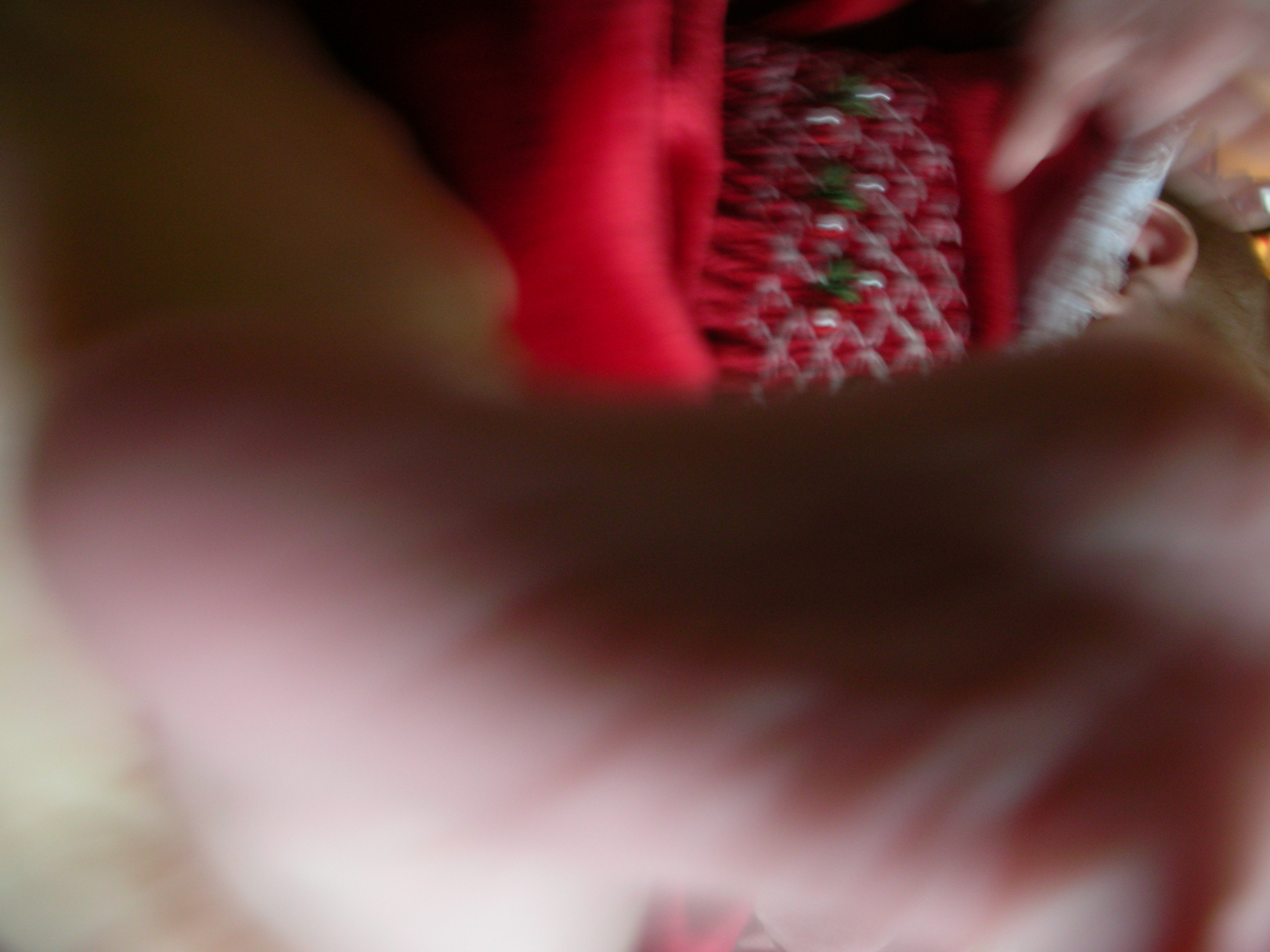 DSCN4144.jpg