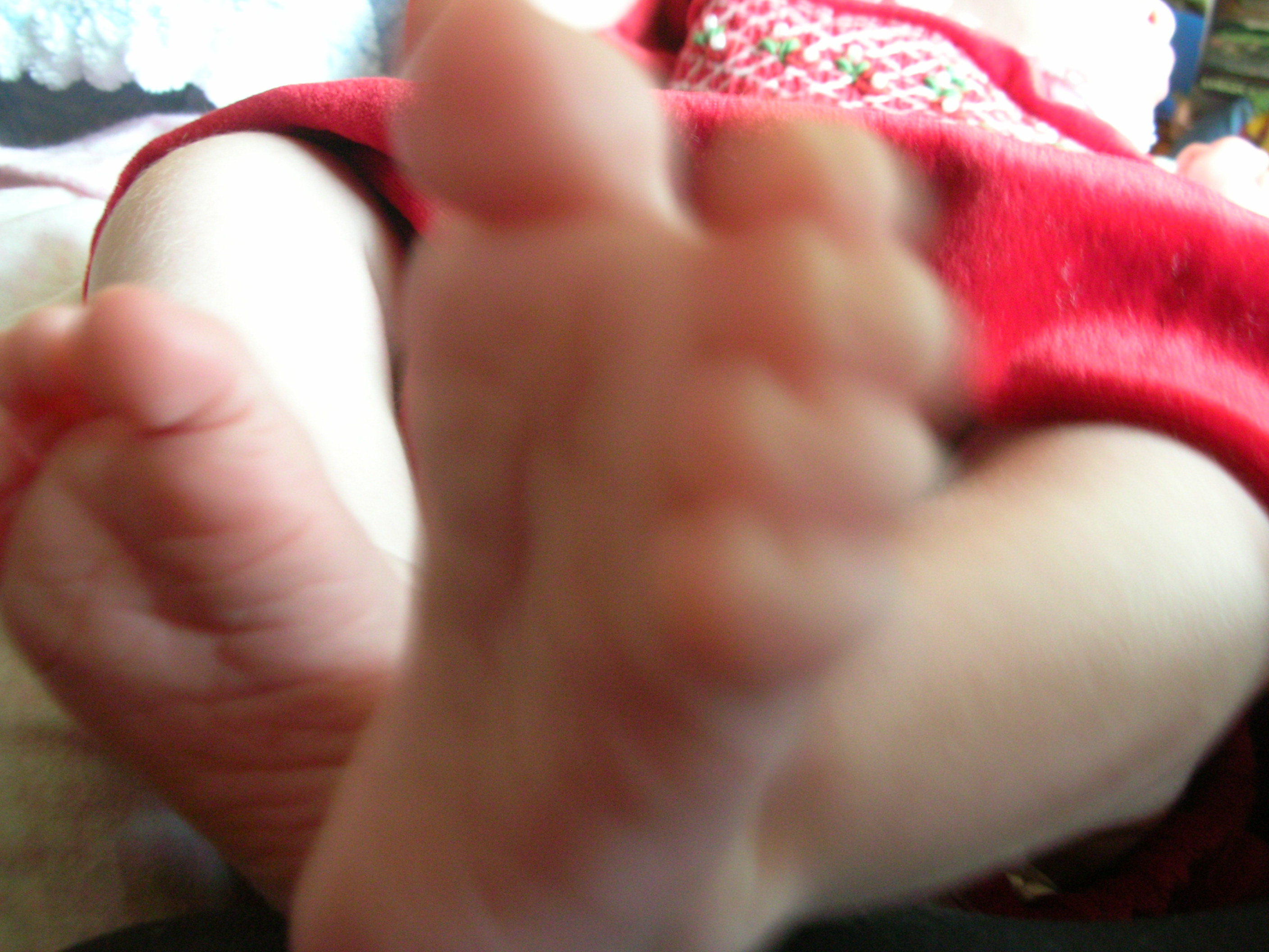 DSCN4145.jpg