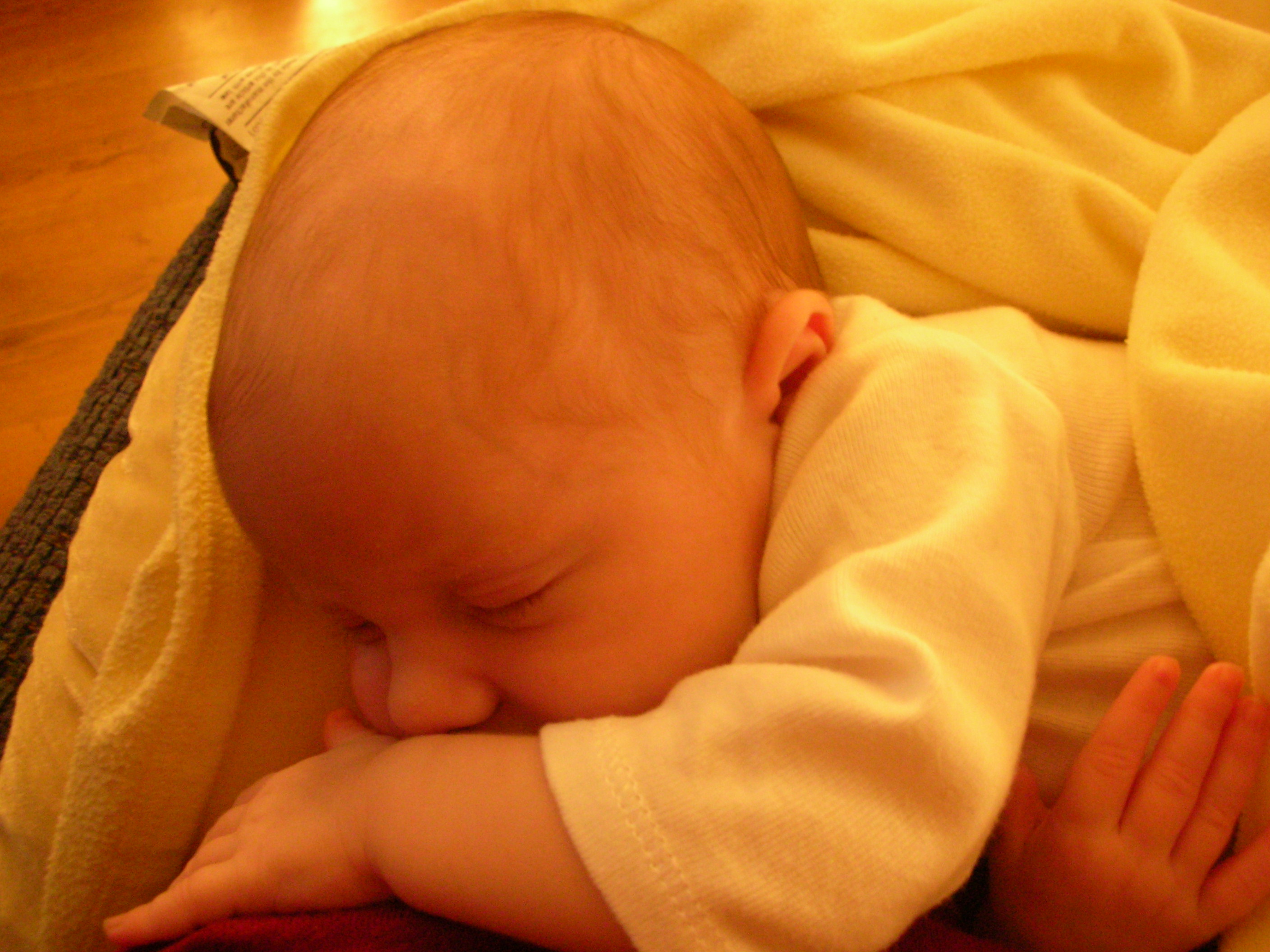 DSCN4177.jpg