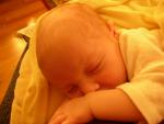 DSCN4178.jpg