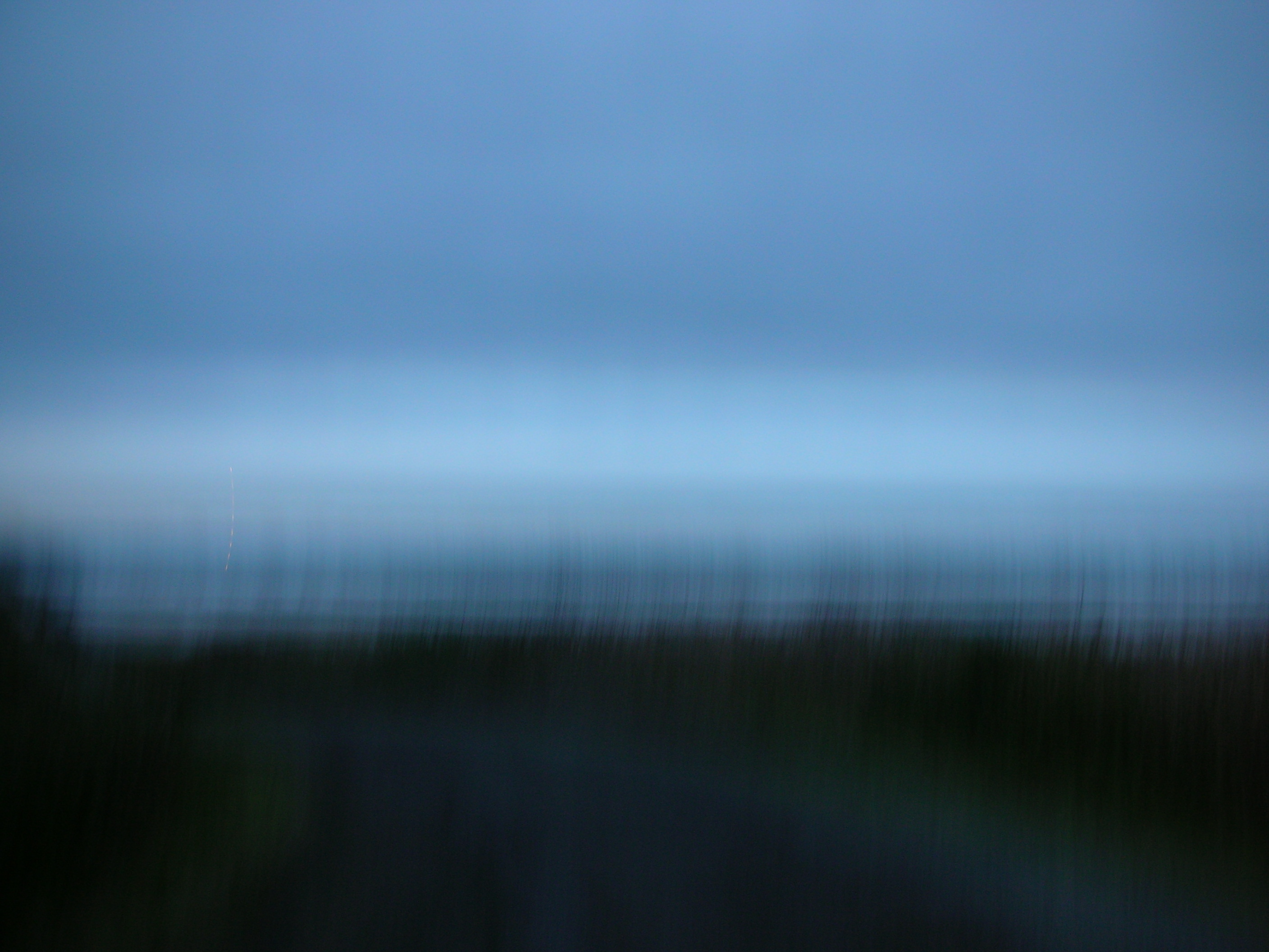 DSCN4202.jpg