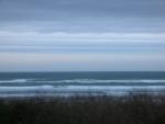 DSCN4203.jpg