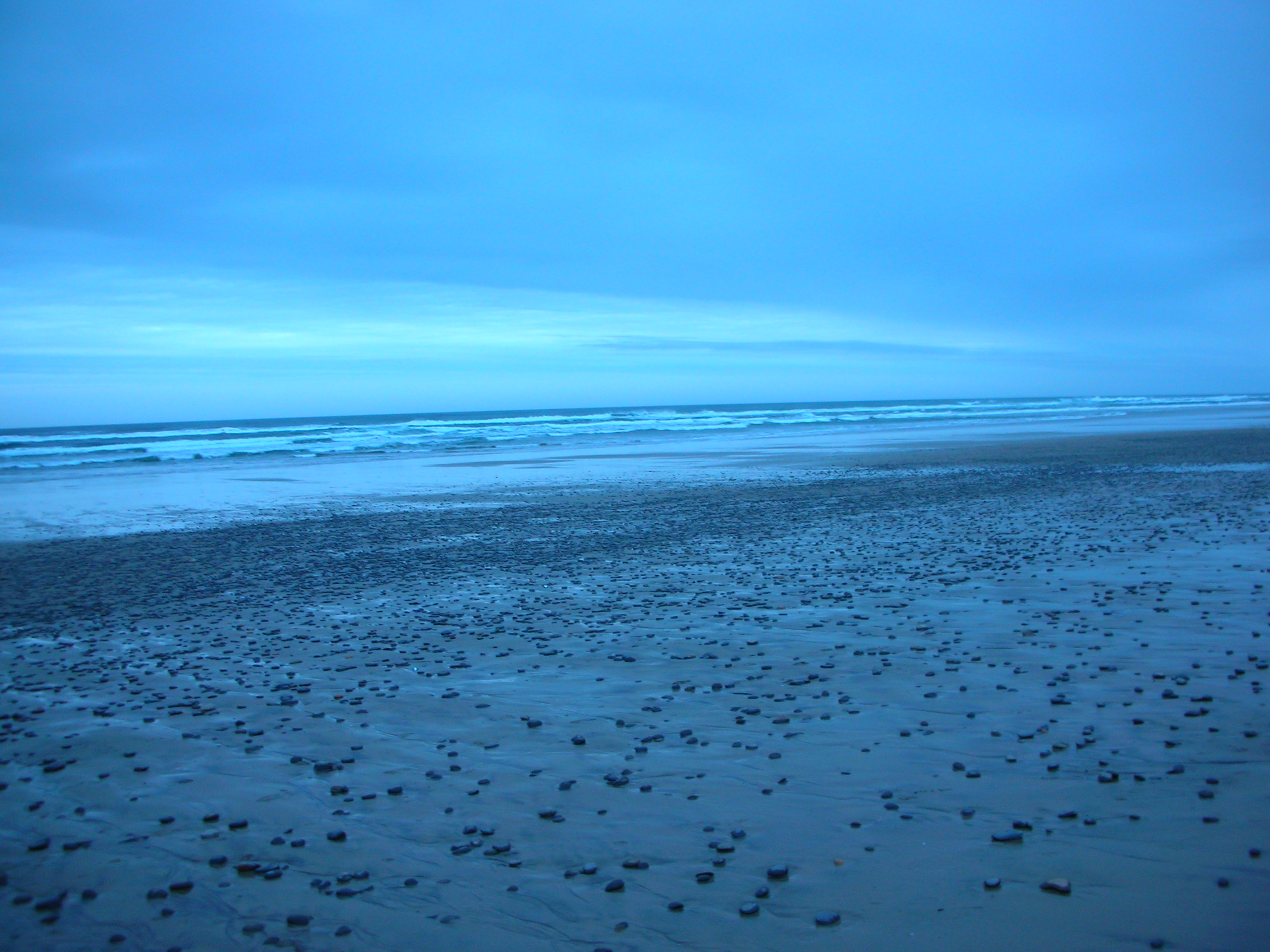 DSCN4204.jpg