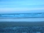 DSCN4206.jpg