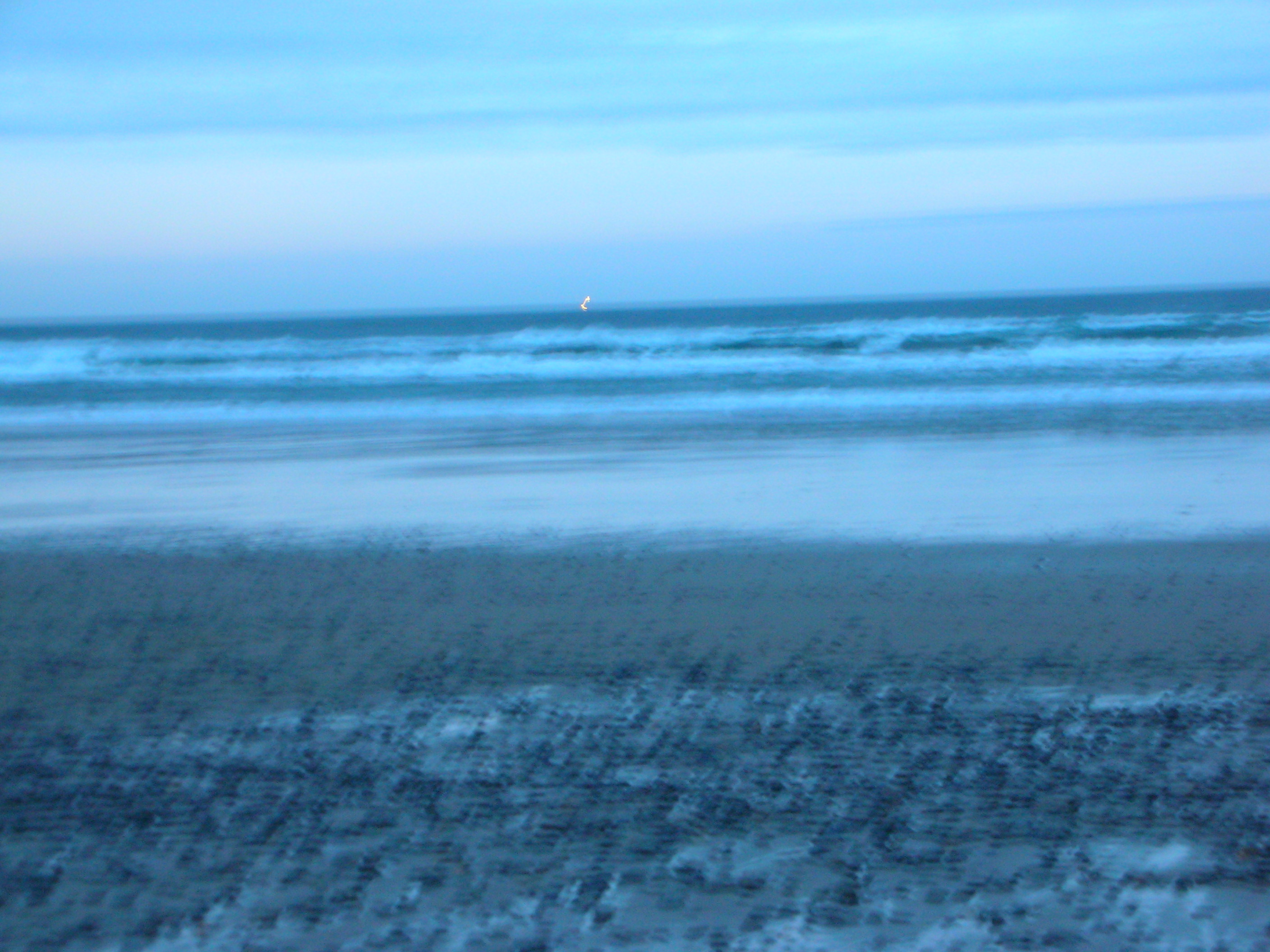 DSCN4207.jpg