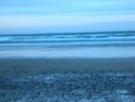 DSCN4207.jpg