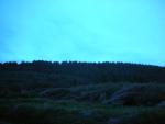 DSCN4212.jpg