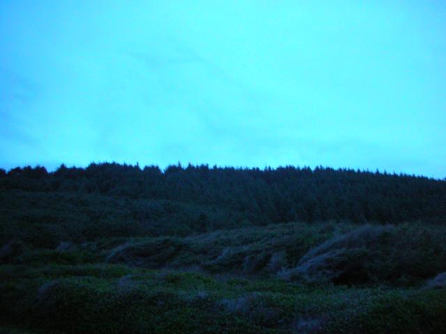 DSCN4212.jpg