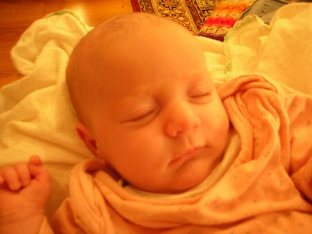DSCN4221.jpg