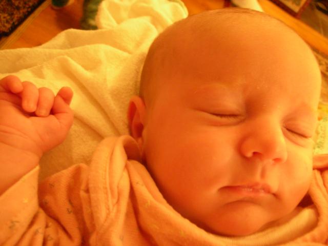 DSCN4222.jpg