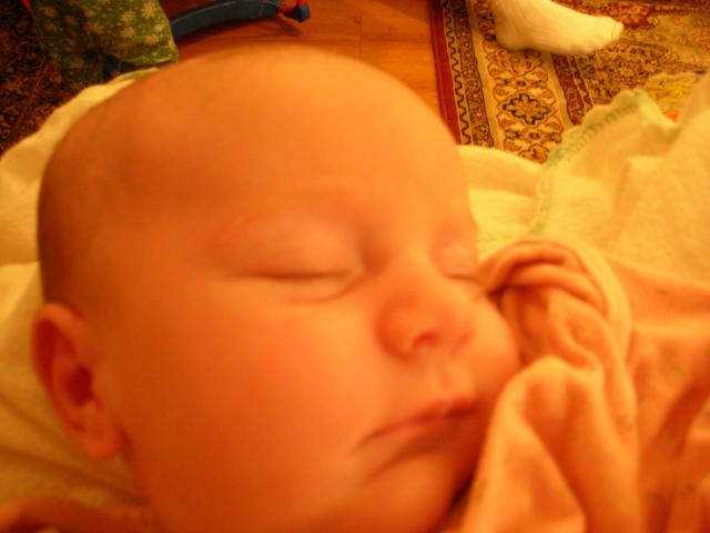 DSCN4224.jpg