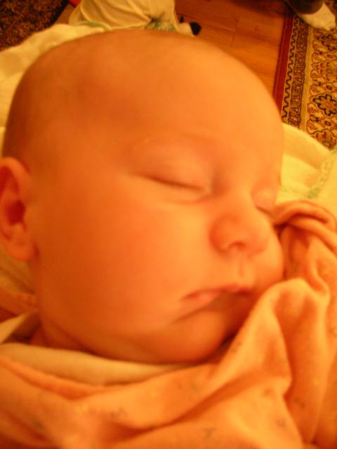 DSCN4225.jpg