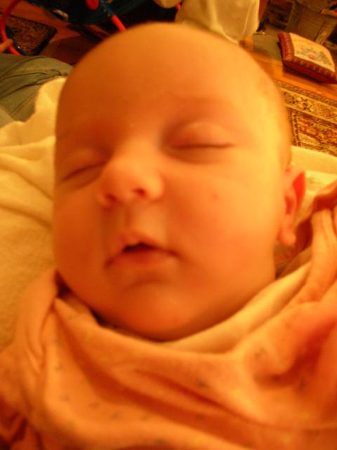 DSCN4230.jpg