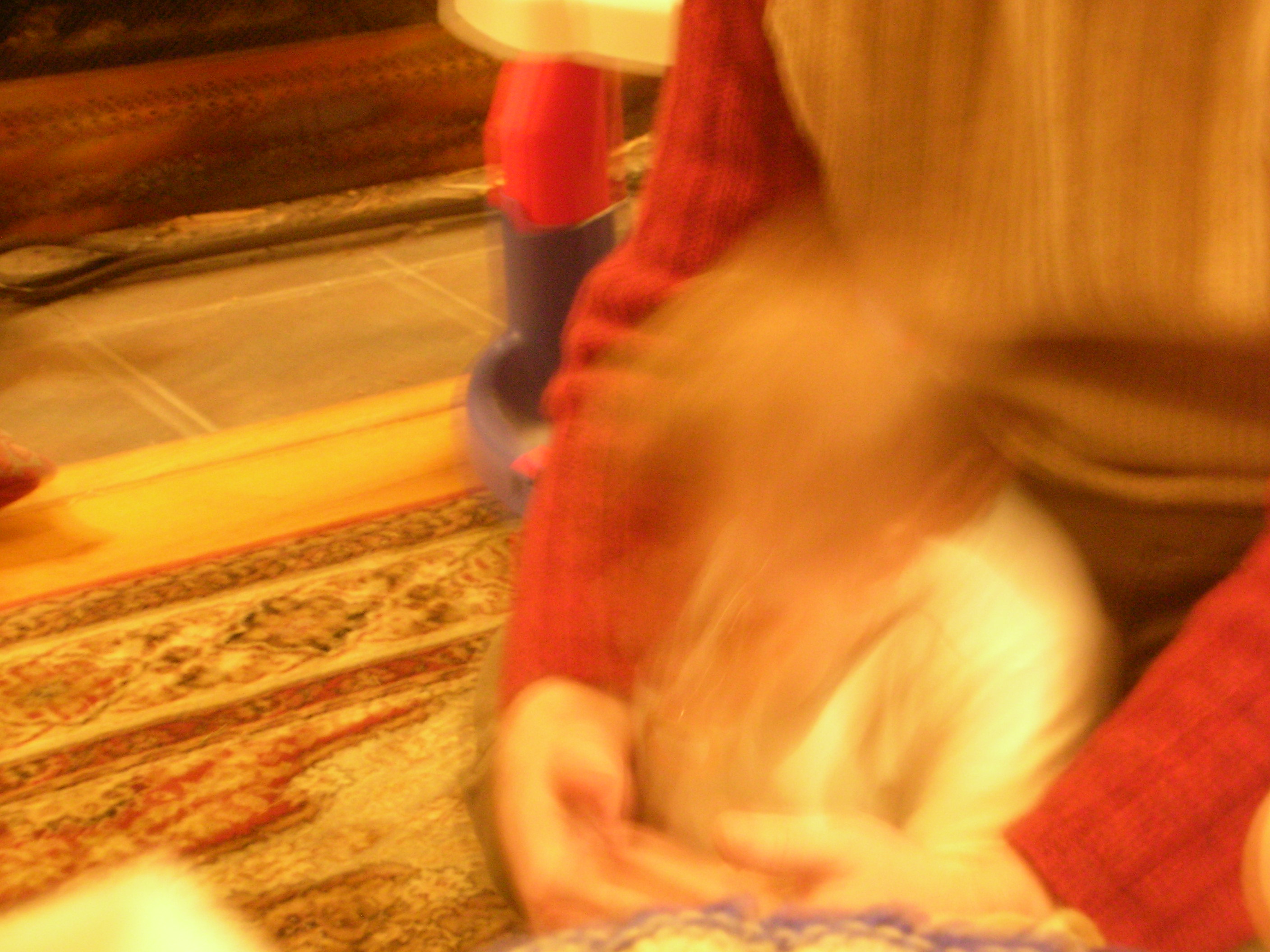 DSCN4233.jpg