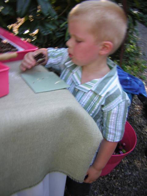 DSCN2527.jpg