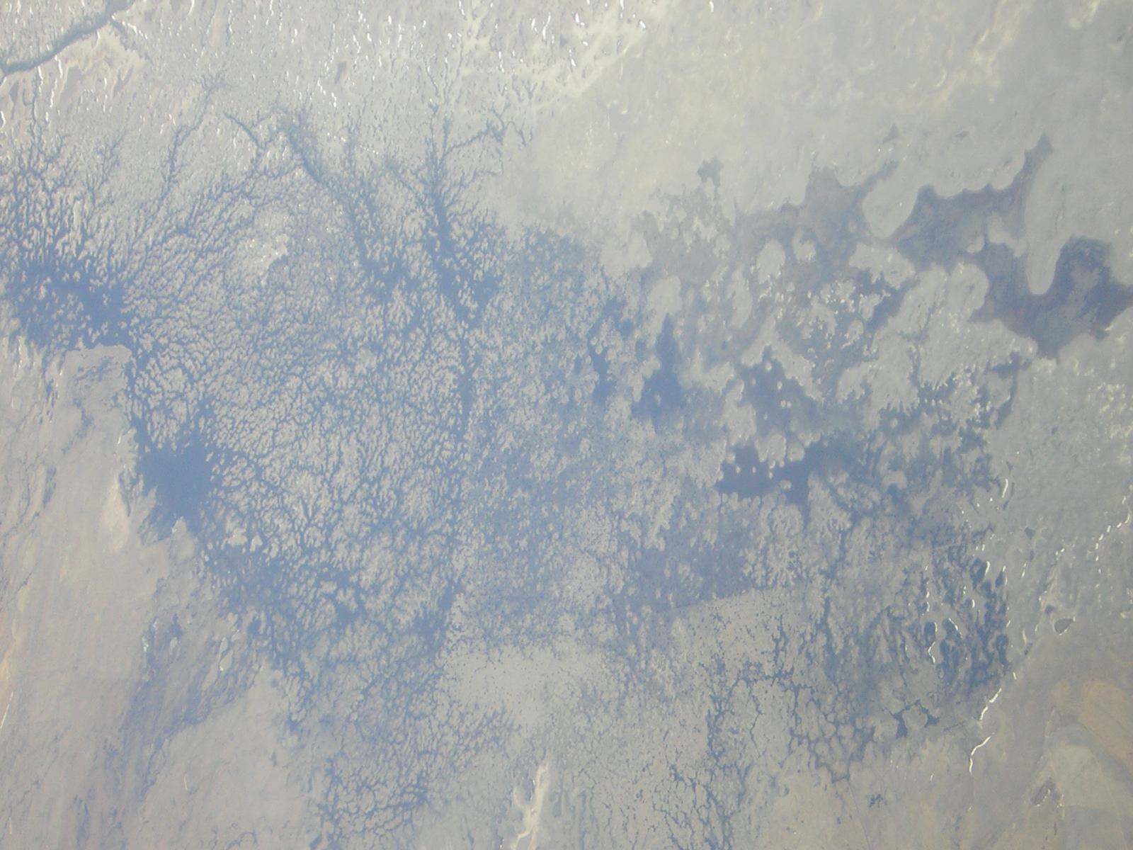 DSCN1279.jpg