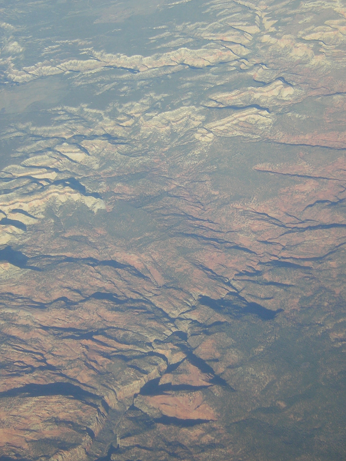 DSCN1287.jpg