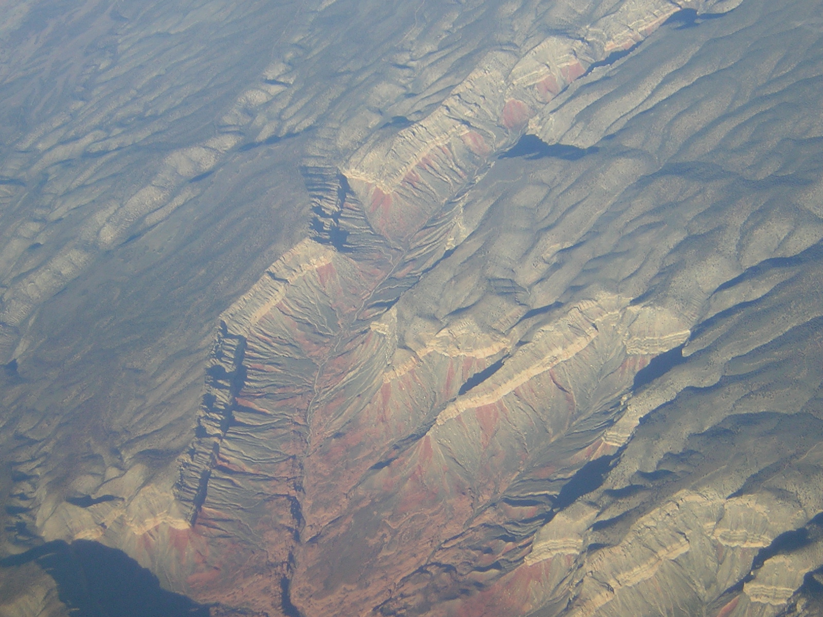 DSCN1288.jpg