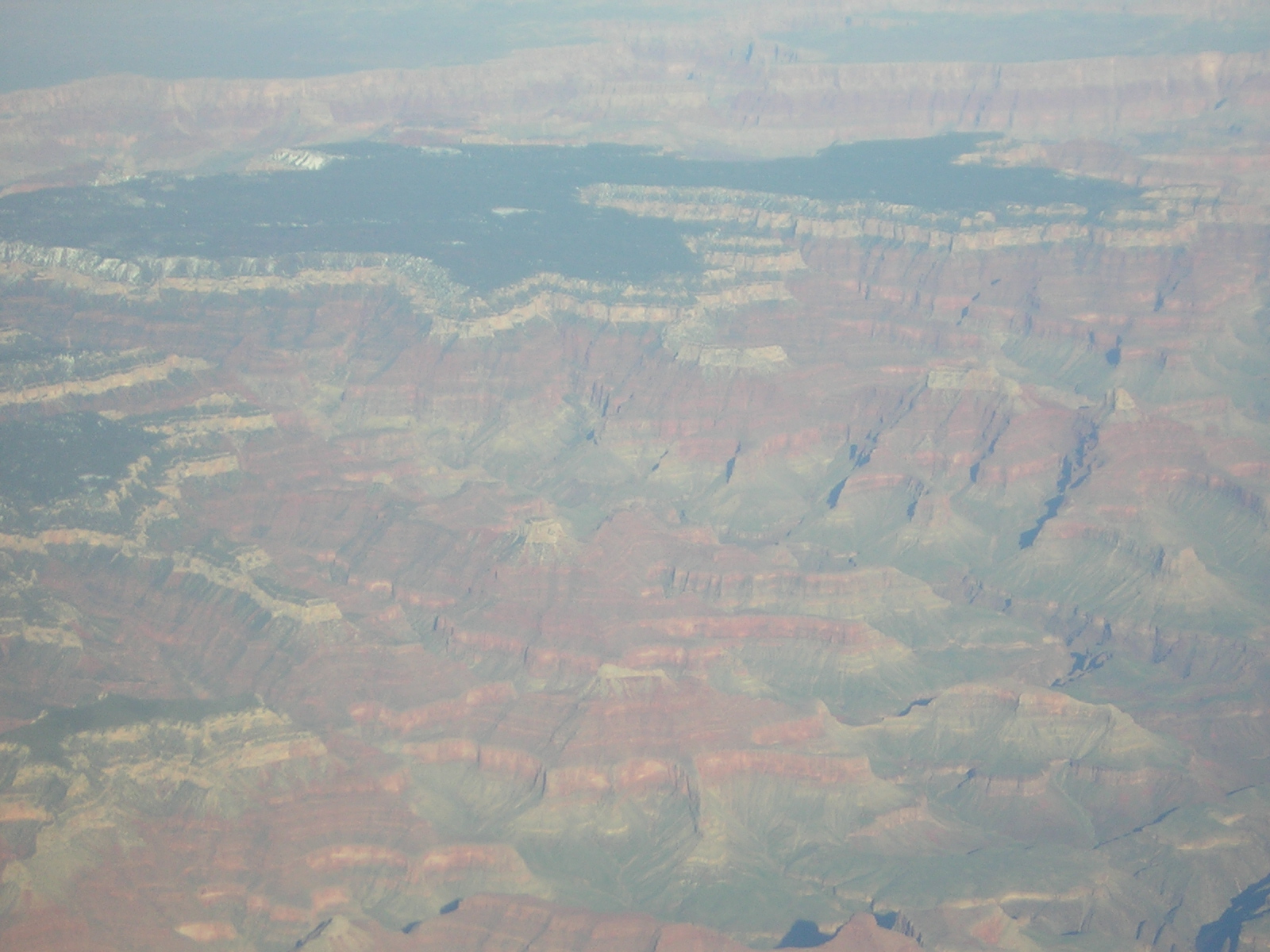 DSCN1292.jpg