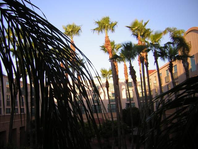 DSCN1298.jpg