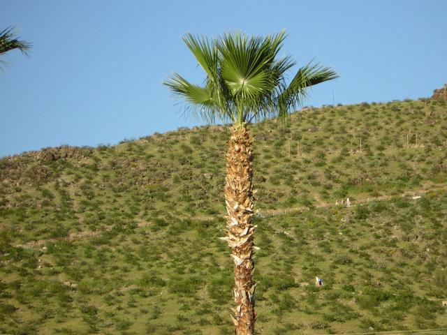 DSCN1347.jpg