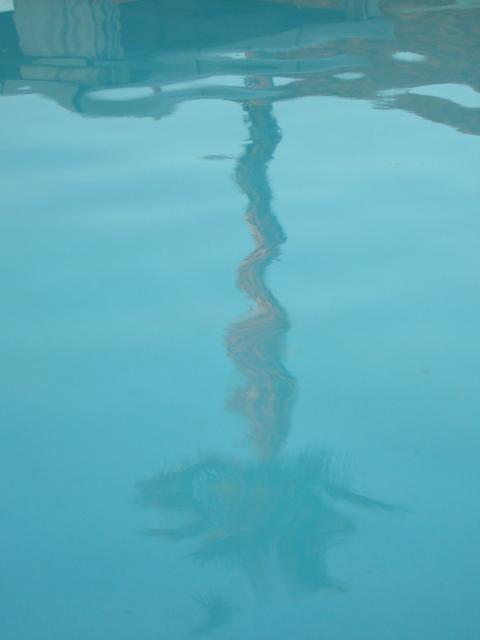 DSCN1349.jpg
