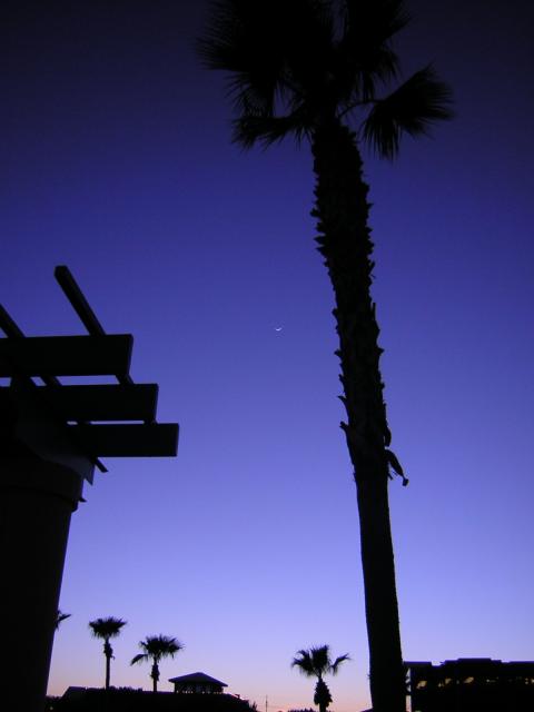 DSCN1350.jpg