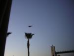 DSCN1352.jpg