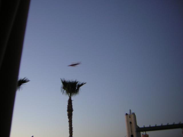 DSCN1352.jpg
