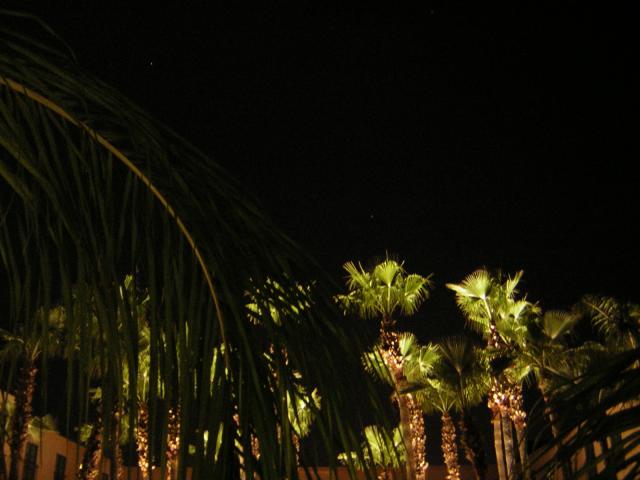 DSCN1354.jpg