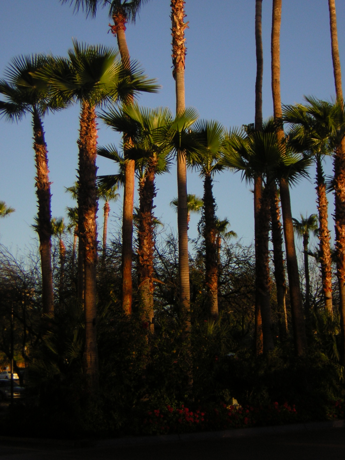 DSCN1355.jpg