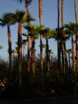 DSCN1355.jpg