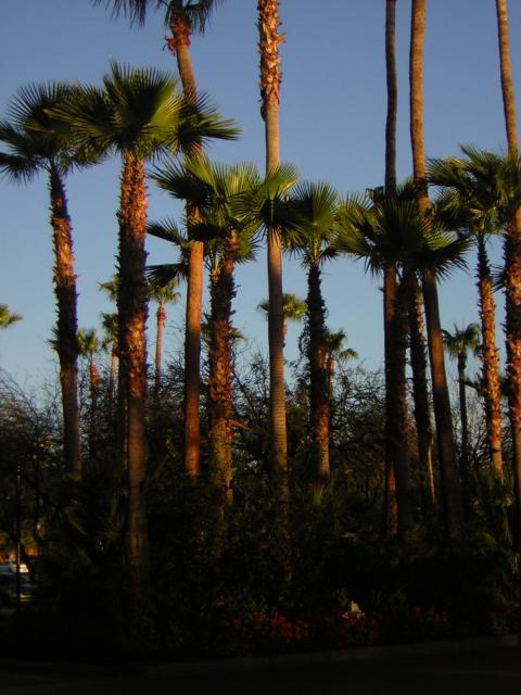 DSCN1355.jpg