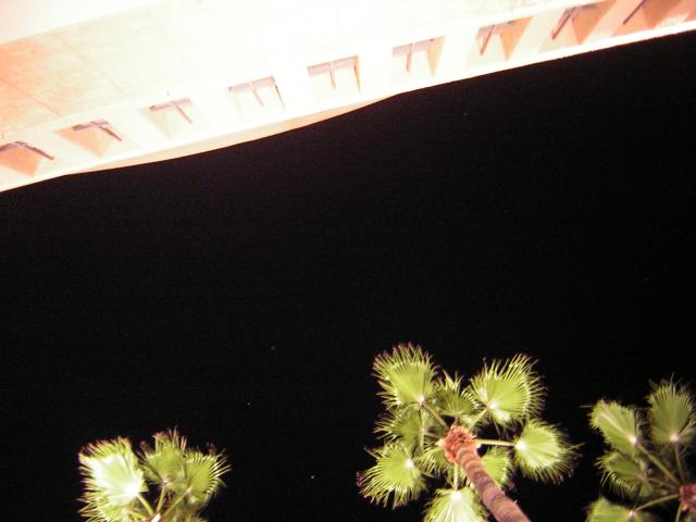 DSCN1357.jpg