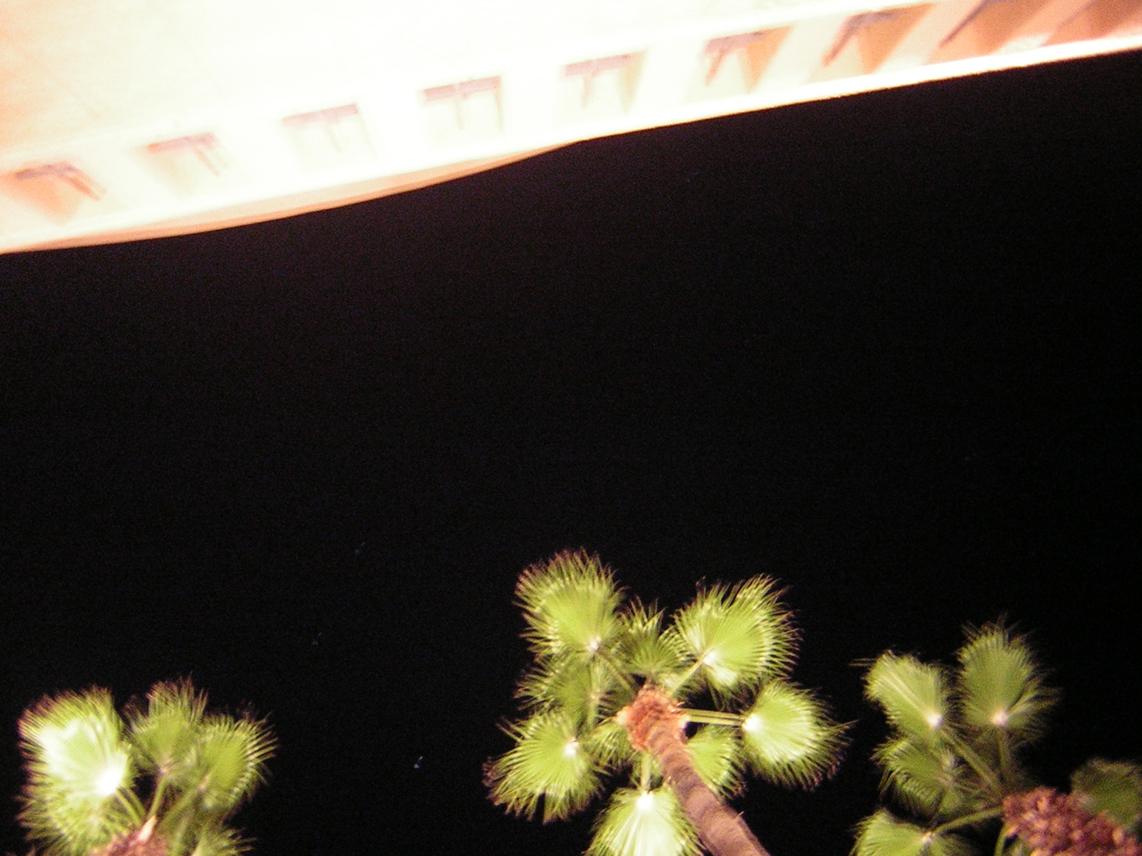 DSCN1358.jpg
