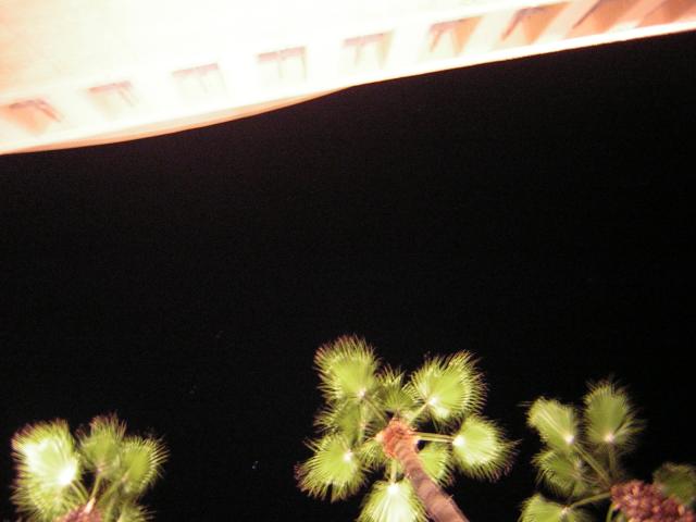 DSCN1358.jpg