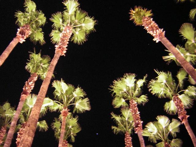 DSCN1361.jpg
