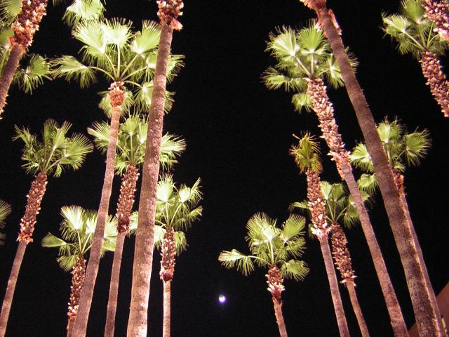 DSCN1362.jpg