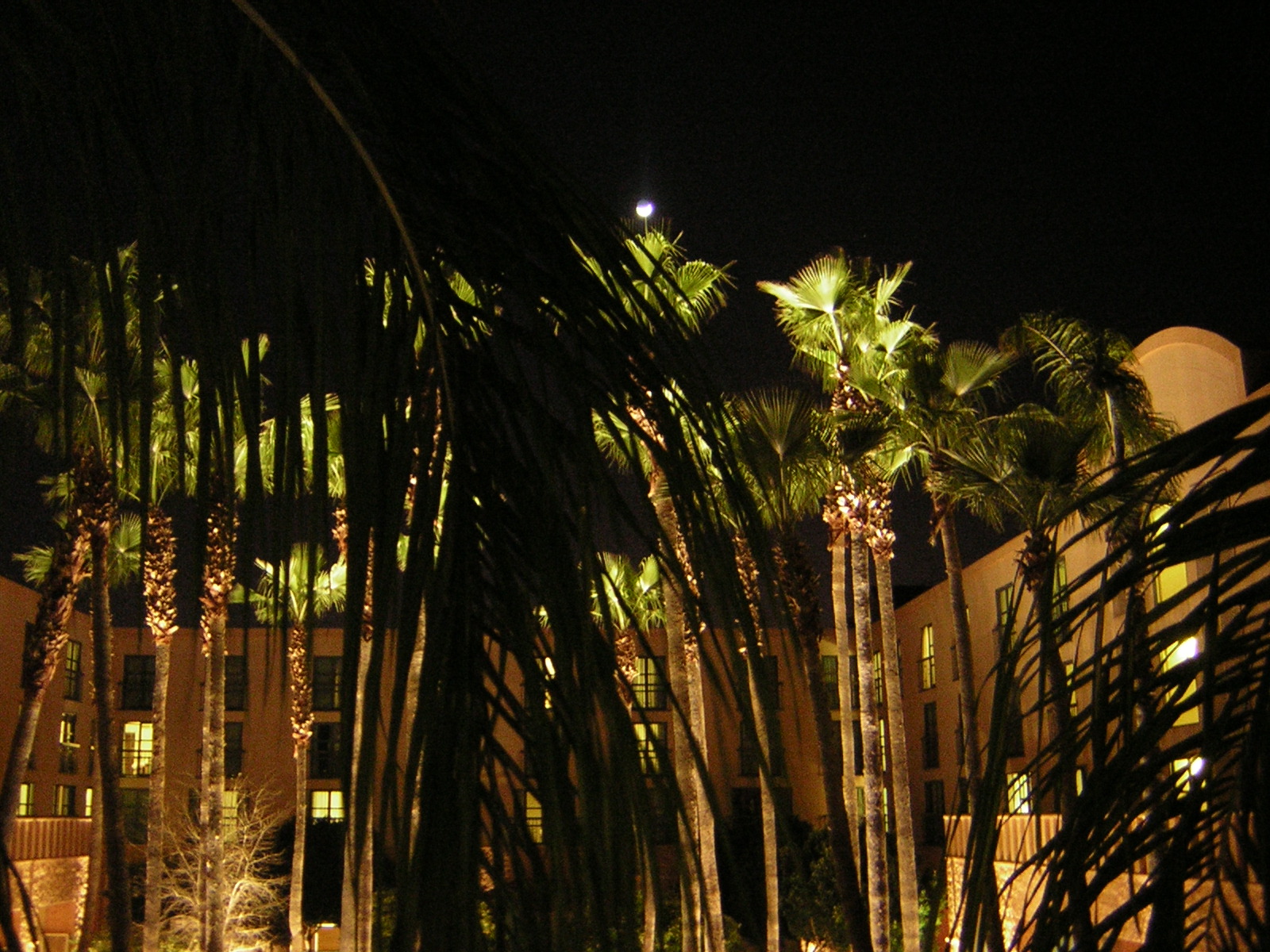 DSCN1363.jpg