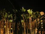 DSCN1363.jpg