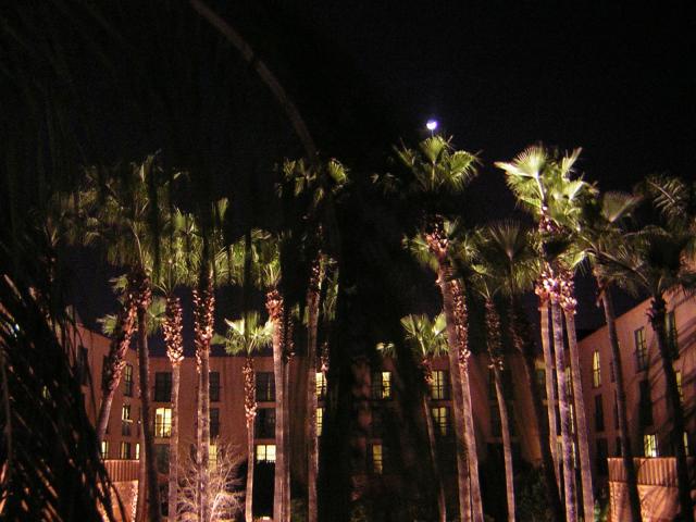 DSCN1364.jpg