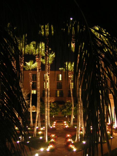 DSCN1366.jpg